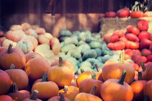 October-pumpkins-al2a-unsplash