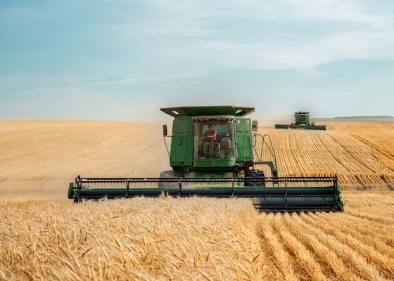 Wheat-us-unsplash