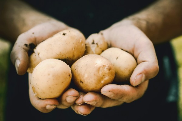 Potato-ds-unsplash