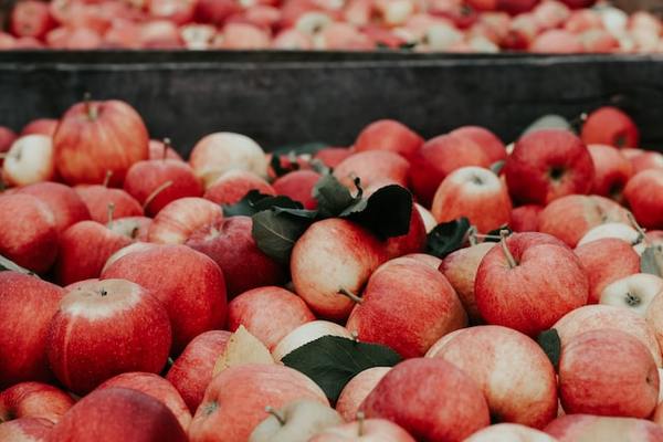 Apples-5tda-unsplash