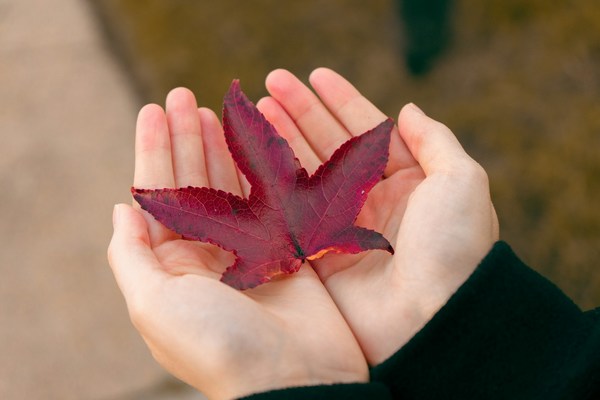 October-33hr4-unsplash