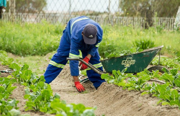 Farmer-ane-unsplash