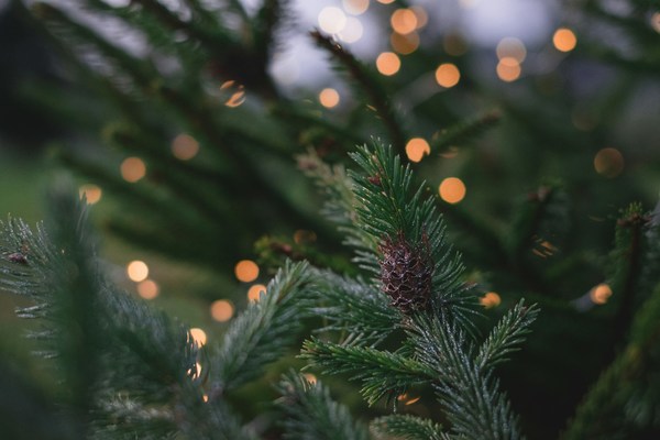 Christmas-1g-unsplash