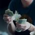 Dollar-mmq-unsplash