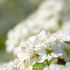 May-vjk-unsplash