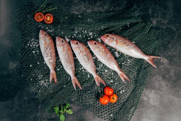 Fish-harris-vo-iwp2uhgvnji-unsplash