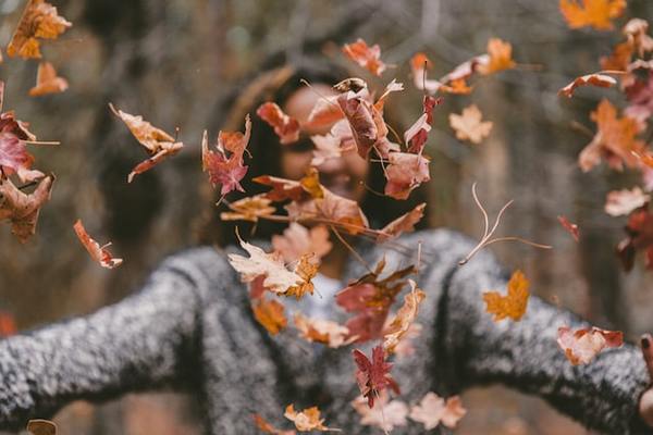 Autumn-trm-unsplash