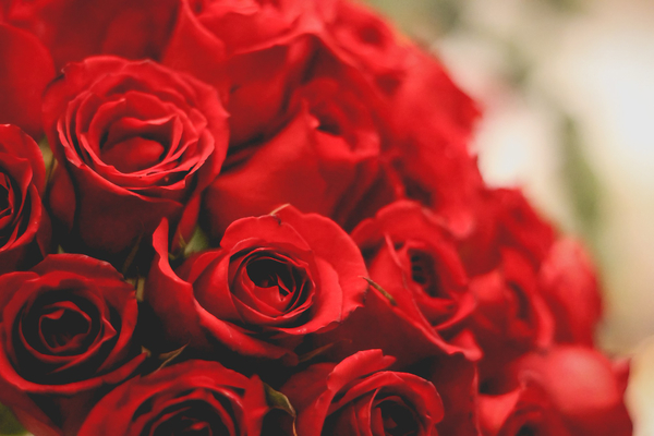 Roses-30384-freepik