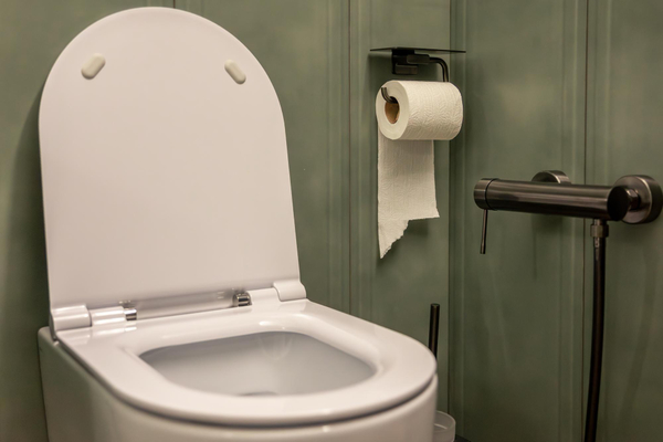 Toilet-69490-magnific