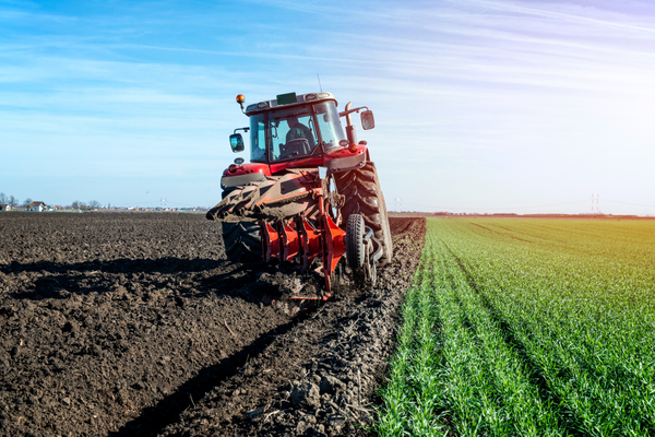 Tractor-896-magnific