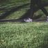 Walk-m-unsplash