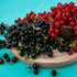Currant-12189-magnific