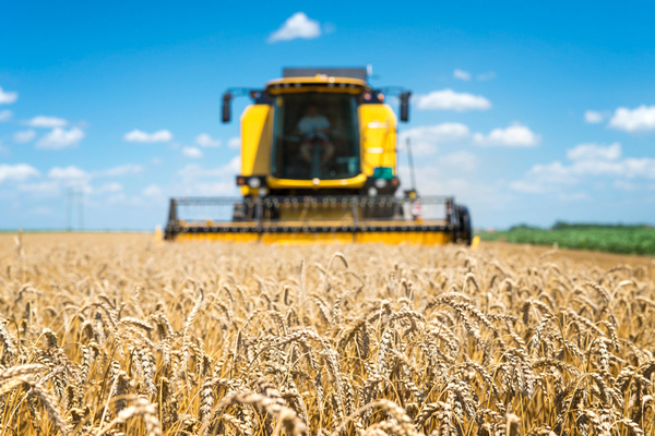 Harvester-548-magnific