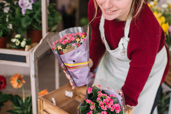 Flowers-2147761072-freepik