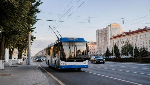 Trolleybus-duck