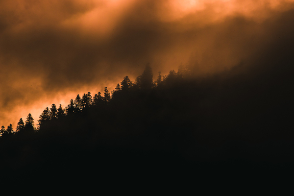 Forest-fire-27200-freepik